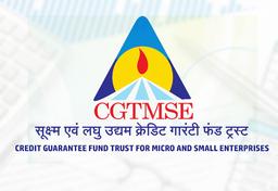 Collateral-free Credit for Entrepreneurs: Understanding the CGTMSE Scheme